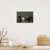 Poster Groupe de Chevaux sauvages Mustang (Cuisine)