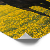 Poster Groupe de chevaux Thoroughbred (Coin)