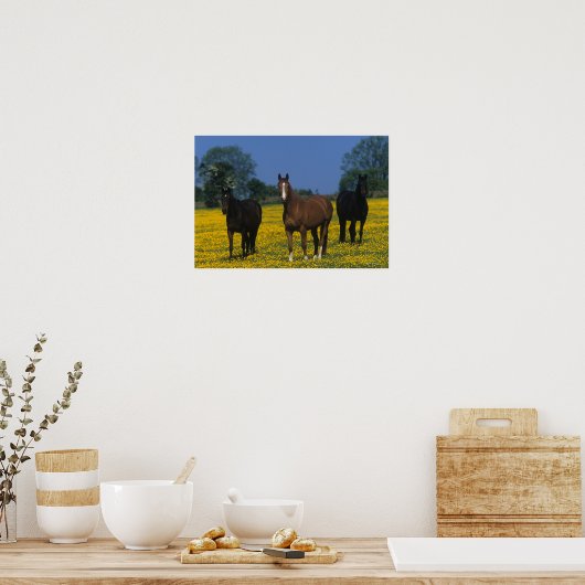 Poster Groupe de chevaux Thoroughbred (Cuisine)