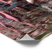 Poster Groupe de flamants roses (Coin)