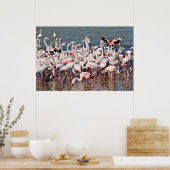 Poster Groupe de flamants roses (Cuisine)