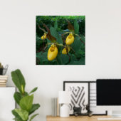 Poster Groupe de fleurs d'orchidées à chlipper de la Dame (Bureau à domicile)