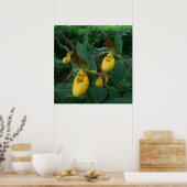 Poster Groupe de fleurs d'orchidées à chlipper de la Dame (Cuisine)