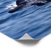 Poster Groupe de grands dauphins (Coin)