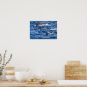 Poster Groupe de grands dauphins - Oman (Cuisine)