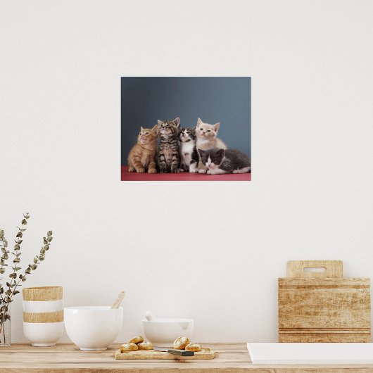 Poster Groupe de Kittens (Cuisine)