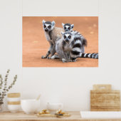 Poster Groupe de lémuriens à cordon (Cuisine)