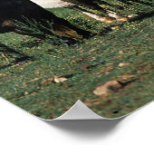 Poster Groupe de poulains miniatures (Coin)