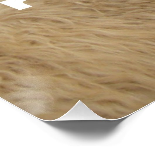 Poster Groupe de réflexion (Coin)