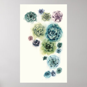Poster Groupe de succulents