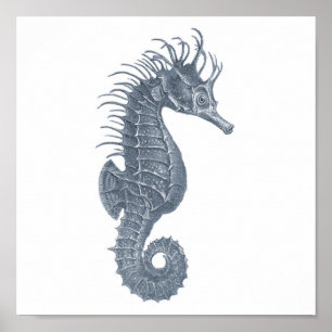 Poster Groupe de Vie marine gris 12A imprimé #5 Cheval de