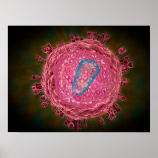 Poster Groupe De Virus Du VIH 2