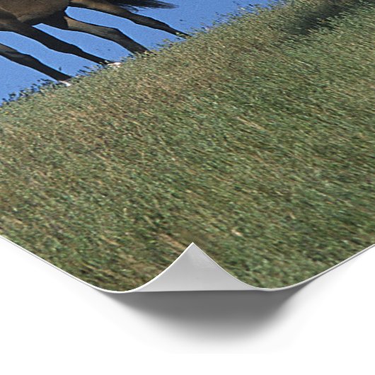 Poster Groupe des Arabes (Coin)