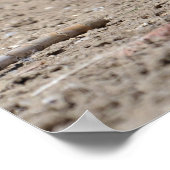 Poster Groupe d'oies grises marchant (Coin)