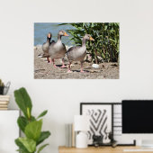 Poster Groupe d'oies grises marchant (Bureau à domicile)