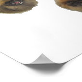 Poster Groupe Pekingese (Coin)