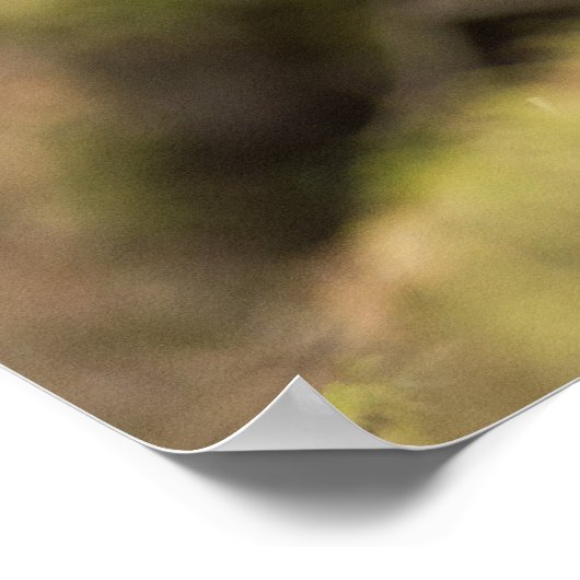 Poster Groupement fier (Coin)