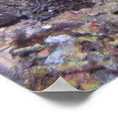 Poster Groupement mince sur le récif (Coin)