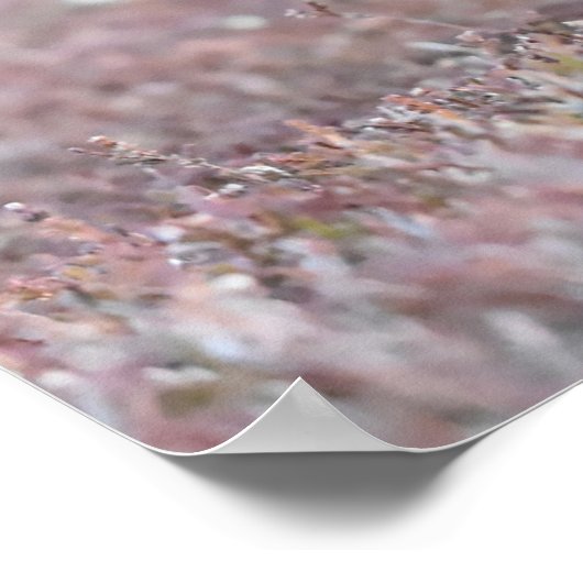 Poster Groupement noir sauvage (Coin)