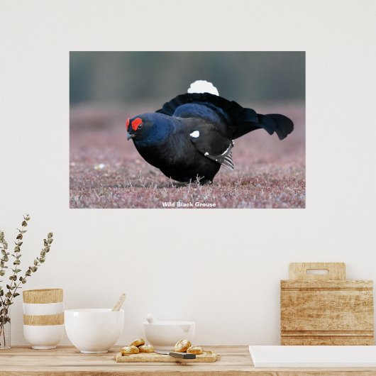 Poster Groupement noir sauvage (Cuisine)