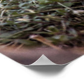 Poster Groupement sauvage (Coin)