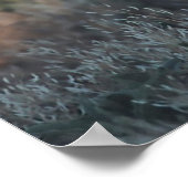 Poster Groupement sauvage (Coin)