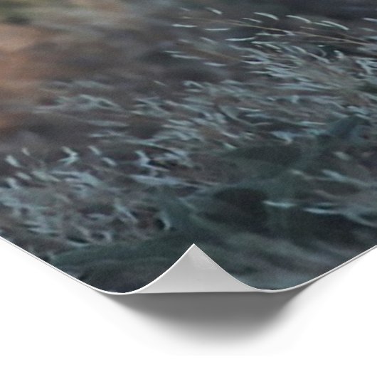 Poster Groupement sauvage (Coin)