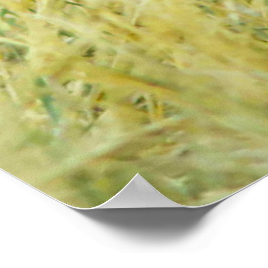 Poster Groupement sauvage (Coin)