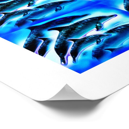 Poster Groupes de dauphins (Coin)