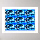 Poster Groupes de dauphins (Devant)