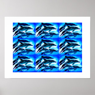Poster Groupes de dauphins
