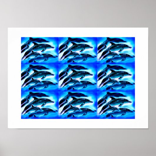 Poster Groupes de dauphins (Devant)
