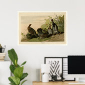 Poster Grous tacheté (Bureau à domicile)