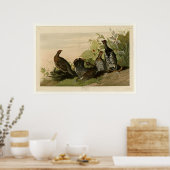 Poster Grous tacheté (Cuisine)