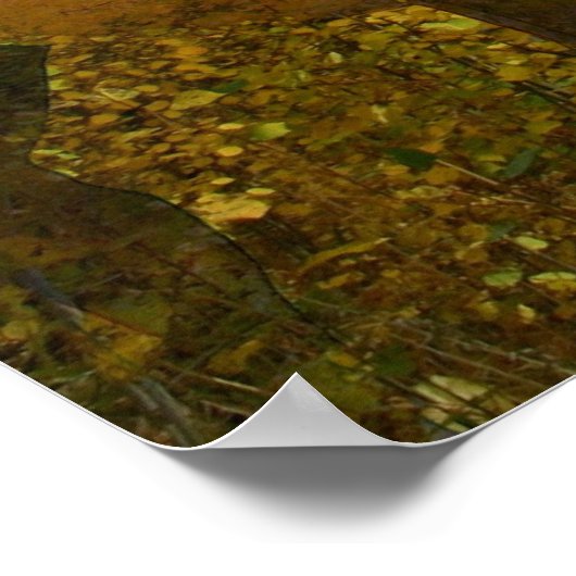 Poster Grove fantôme (Coin)