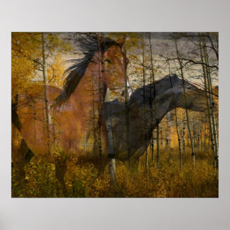 Poster Grove fantôme