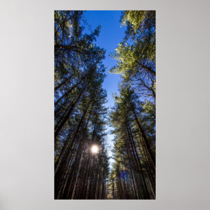 Poster Groveport, Walnut Woods Metro Park, Groveport, OH