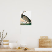 Poster Grue à capuchon par John James Audubon (Cuisine)