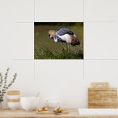 Poster Grue à couronne noire (Cuisine)