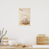 Poster Grue blanche de l'époque victorienne (Cuisine)