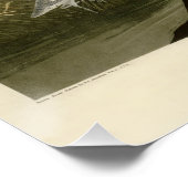 Poster Grue Bleue Heron Audubon Peinture (Coin)