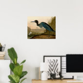 Poster Grue Bleue Heron Audubon Peinture (Bureau à domicile)