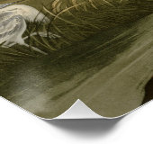 Poster Grue bleue Héron Impression Audubon Art côtier (Coin)