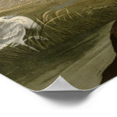 Poster Grue bleue Héron Peinture Audubon (Coin)