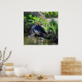 Poster Grue couronnée africaine (Cuisine)