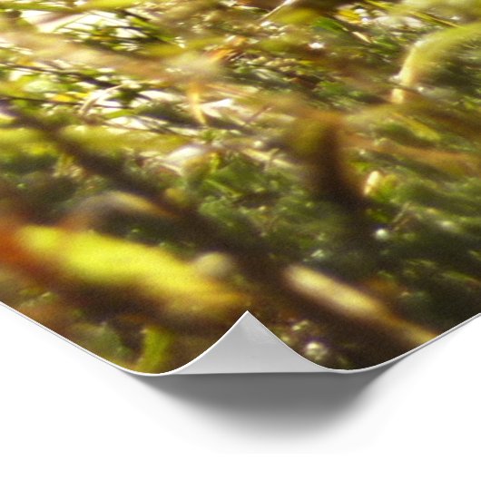 Poster Grue de Sandhill à Moose Ponds à Grand Teton (Coin)