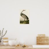 Poster Grue de Sandhill John James Audubon Oiseaux d'Amér (Cuisine)