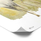 Poster Grues Demoiselle (Coin)