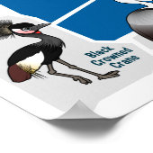 Poster Grues du monde (Coin)