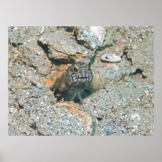 Poster Grumeux (Devant)